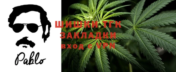 амф Майский